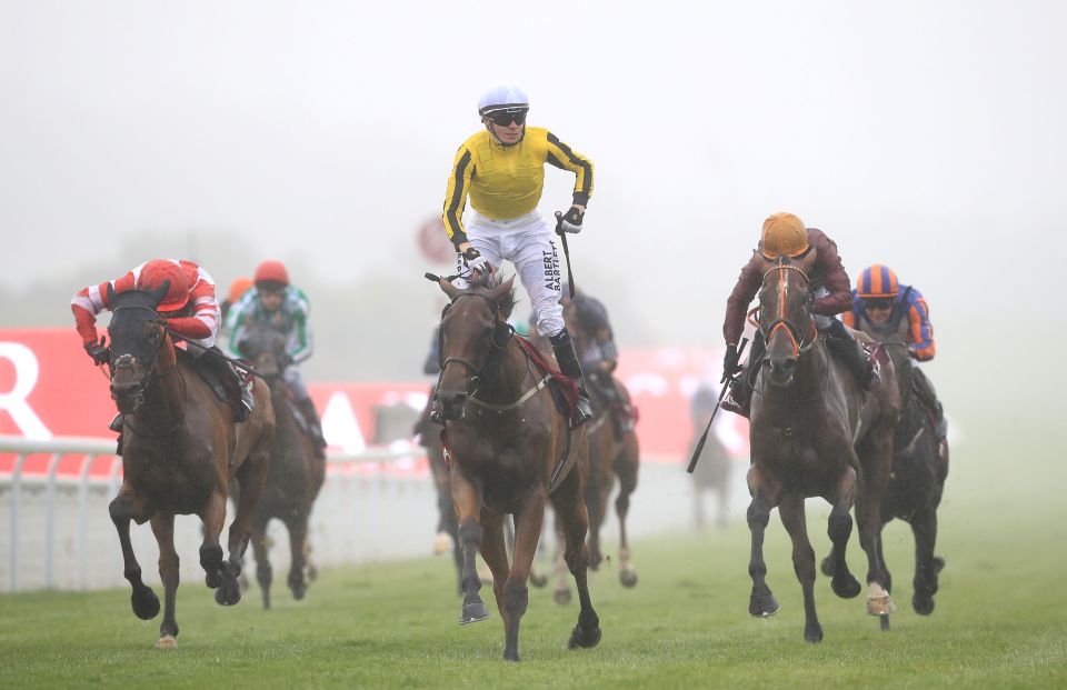  Big Orange emerges from the gloom triumphant in last year's Goodwood Cup