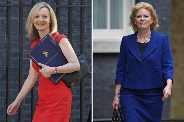 Former Business Minister Anna Soubry refused the PM’s request to be Miss Truss’s Number Two