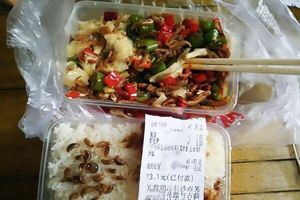 Pic shows: The dead bugs in Li’s meal; A young woman says she may never order takeaway food ever again after she found more than three dozen bugs in her latest meal. The unfortunate office worker, who was identified only by her surname, Li, claimed she ordered the meal of shrimp, rice, and vegetables through the takeaway shop’s online service, only to discover the disgusting insects when opening her lunch. Li, who works in Changsha, capital of Central China’s Hunan Province, said the meal, which consists of a box of mixed vegetables and shrimp with a separate box of white rice, arrived at 2pm and she immediately dug in. After using her chopsticks to pick out some of the peppers inside, however, she said she was horrified to discover what seemed to be a group of shelled bugs inside – which she also might have swallowed because of their resemblance to the shrimp. The tiny creatures had in fact grown from a small size to be as large as the shrimp and possibly went unnoticed by the restaurant’s cooks. Li was therefore mortified when she found not one, not two, but a total of 38 of them inside the dish, causing her stomach to churn. She uploaded the disturbing photos online and also informed local authorities about the takeaway shop, which she has dubbed "unscrupulous". The owner of the shop, which goes by the name "Yu Ying Family Restaurant", apologised to Li and also refunded the money for her meal. The business promised to look into the distributors who provided the shrimp, but is likely it will be shut down pending an official investigation by local food safety authorities. Local media representatives reportedly visited the business and confirmed that the meal Li ordered is popular and sells about 1,050 portions every month, averaging around 30 orders a day. The shrimp meal had already been sold out by the end of the day, reports said.