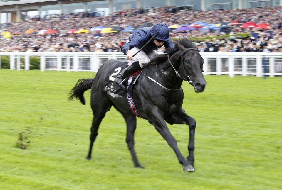 Caravaggio set for the Commonwealth Cup at Royal Ascot after an impressive return