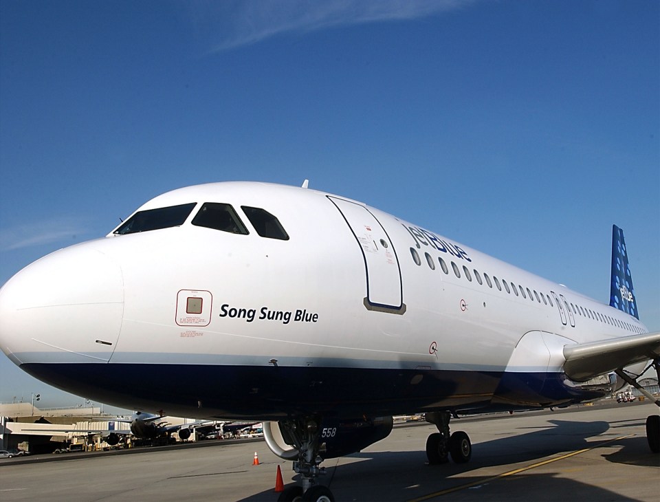  The JetBlue flight was forced to make an emergency landing and was hit with major turbulence as it landed at South Dakota (stock image)