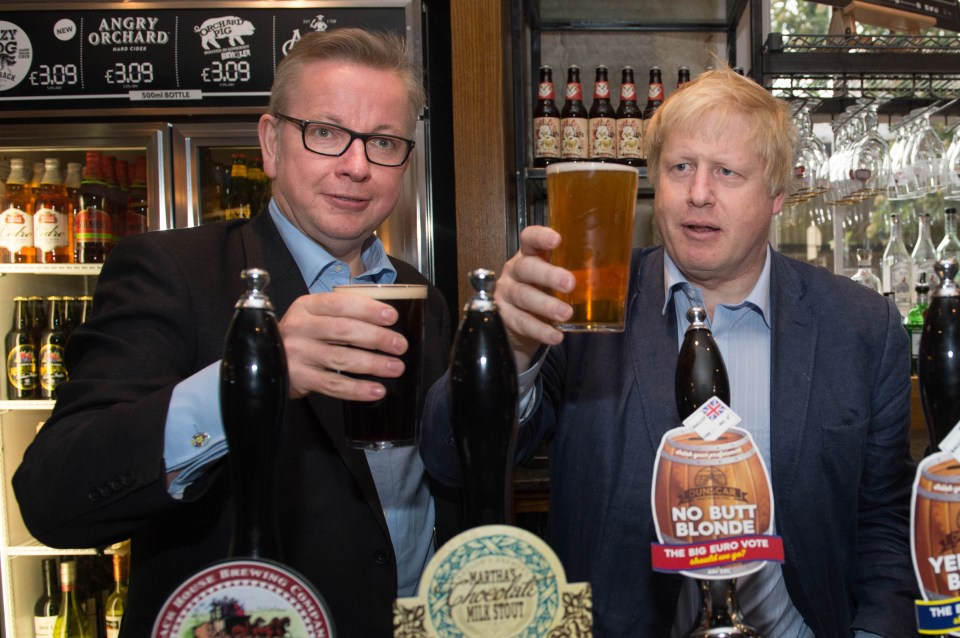 Gove and Johnson looked inseparable during the Brexit campaign