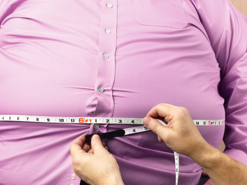 Fat is still the main worry on health conscious Brits