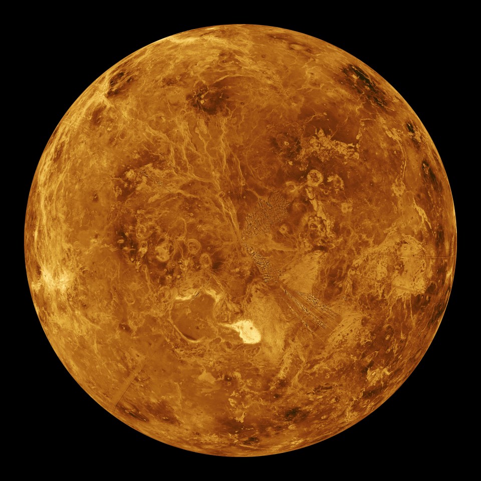  Mysterious dark spots seen on Venus's surface may indicate light-absorbing bacteria