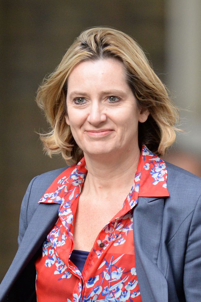  Amber Rudd delayed Hornsea II plans over environmental issues