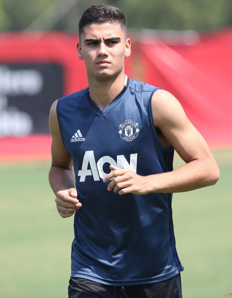  Fulham had a deal in principle agreed for Andreas Pereira