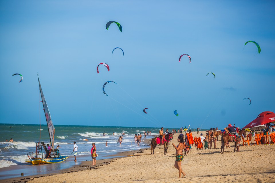  Kites and windsurfers