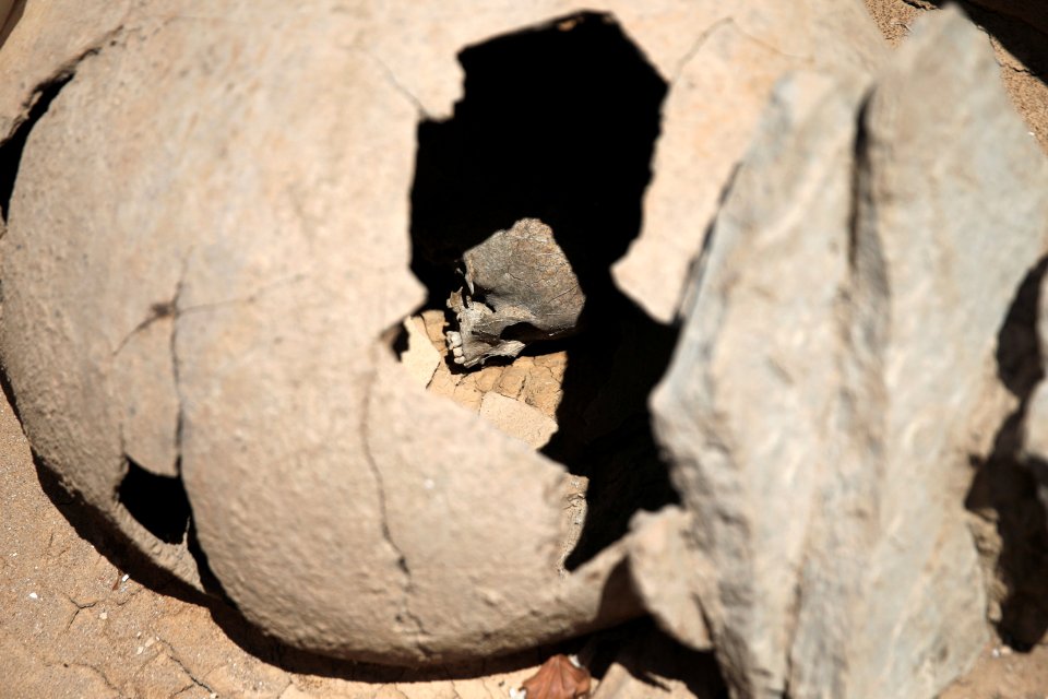 The skull of a child is seen inside a clay jar, a common practice for the burial of babies and children in ancient Greece known as pot-burial, at the ancient Falyron Delta cemetery in Athens