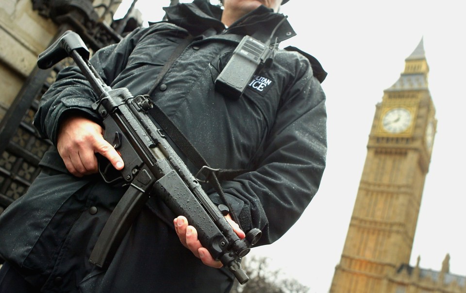 Security In London Stepped Up As Police Prepare For Bush's Visit