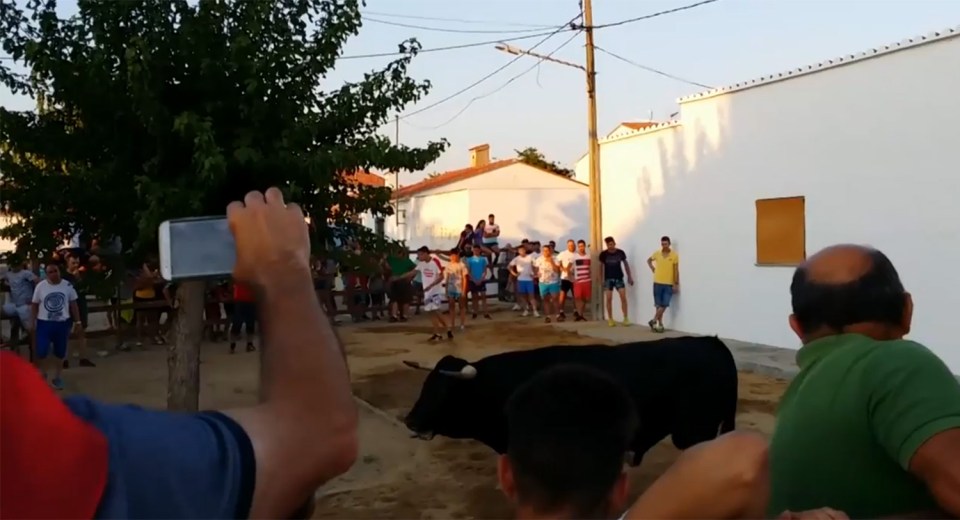 The bull charges through its enclosure during the festival in Valrio, western Spain