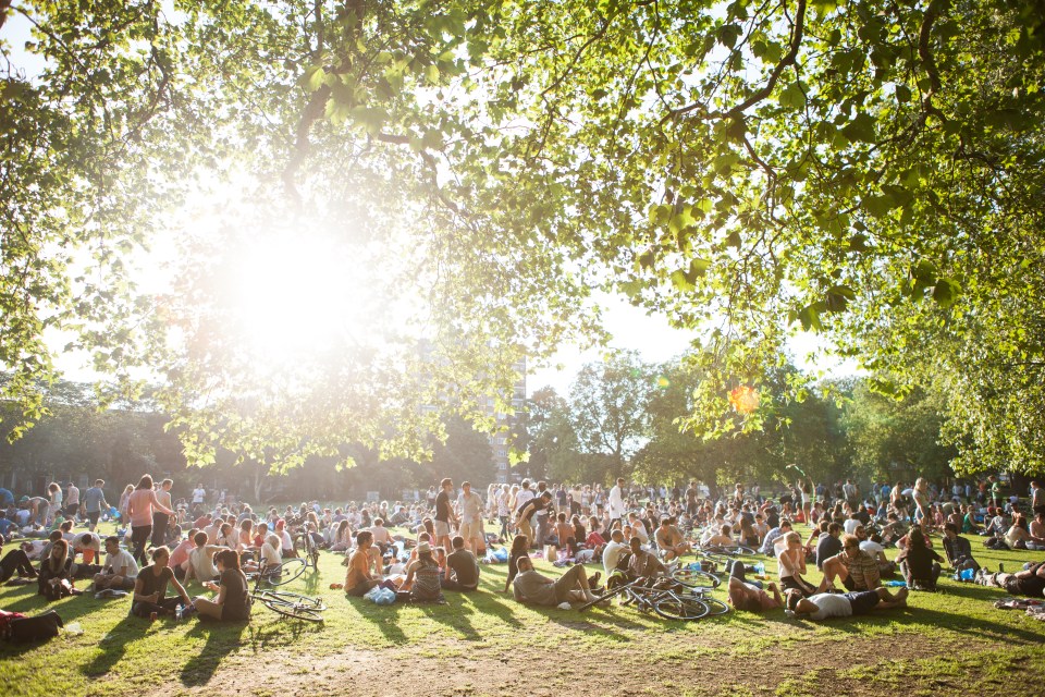  Our body makes the important vitamin when exposed to sunlight, but you may be lacking it if you work long hours during the daytime or have your skin covered when outside