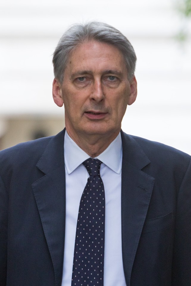 New Chancellor Philip Hammond has reported that the economy could increase by nine per cent 