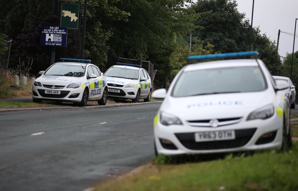  Cops describe the teenager as slim, around 5ft 6ins tall with brown hair that is pink at the ends