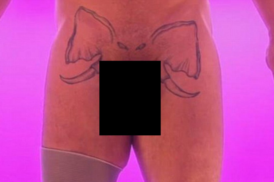  Matty Roche showed off his pretty out-there elephant tattoo which is across his privates