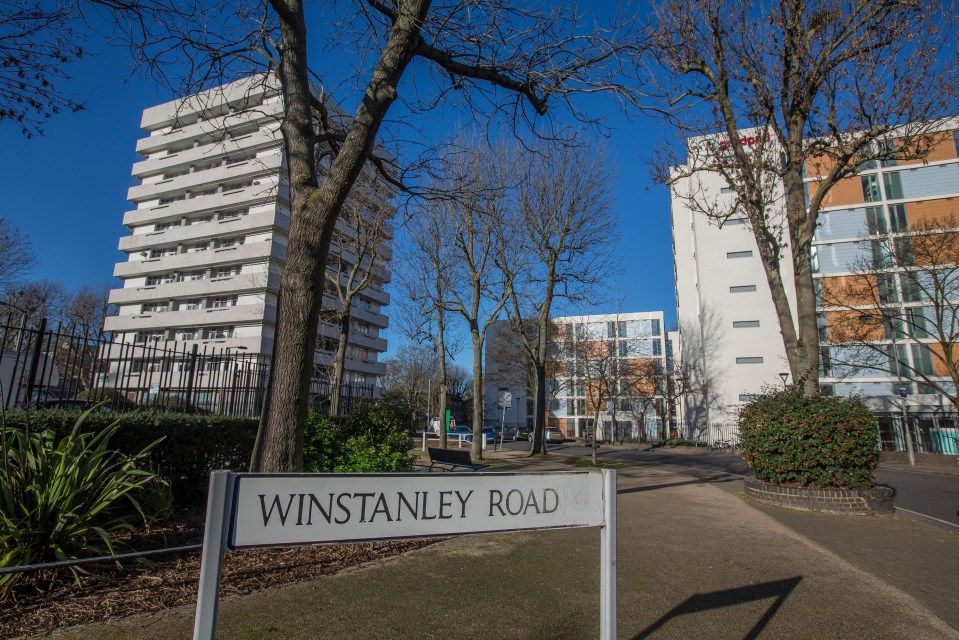  A murder investigation is underway after a man was knifed to death on the Winstanley Estate in Battersea