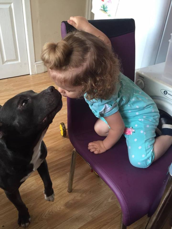 Samaye gives the Staffordshire bull terrier kisses every day and even before she goes to bed