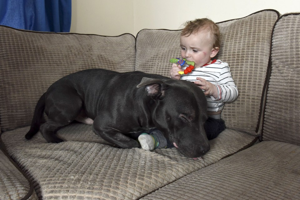 Milo is said to be "amazing" with the kids and even sits with one-year-old Freddie