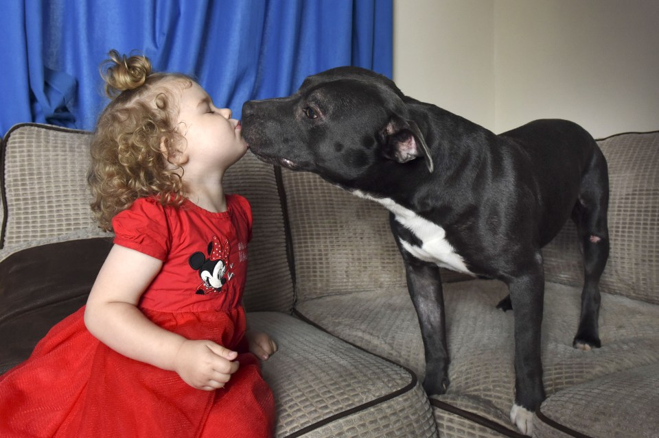 Two weeks later Milo, who often kisses Samaye, was given back to the family