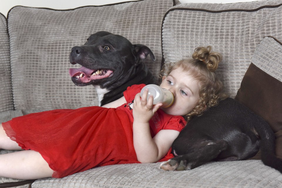 Little Samaye was devastated as the pooch is her constant companion