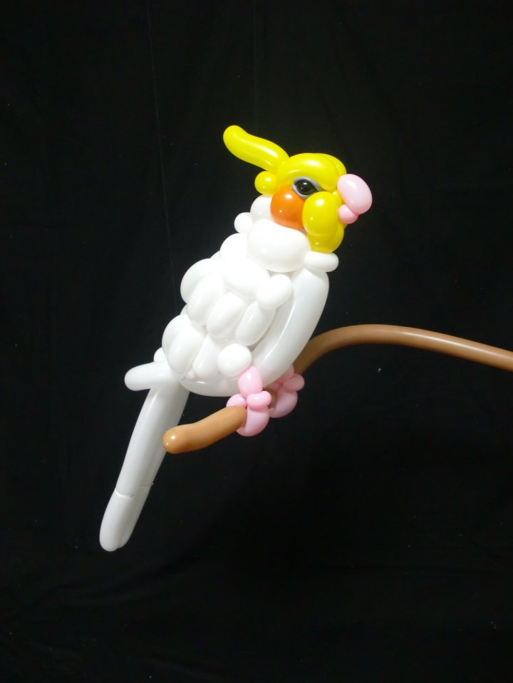  A balloon cockatoo. . .the balloon sculpture is self taught