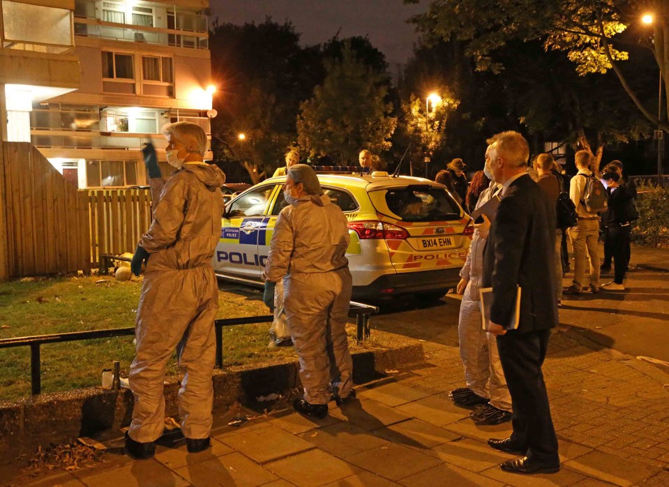  A murder investigation has been launched after a man in his 30s died from a stab wound last night