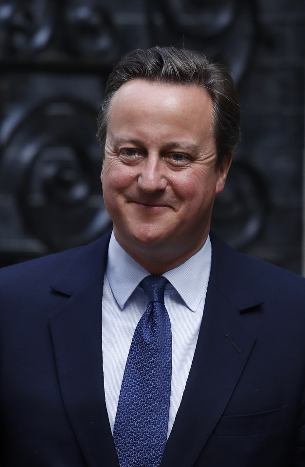  Cameron ... Former PM was not a supporter of academic selection