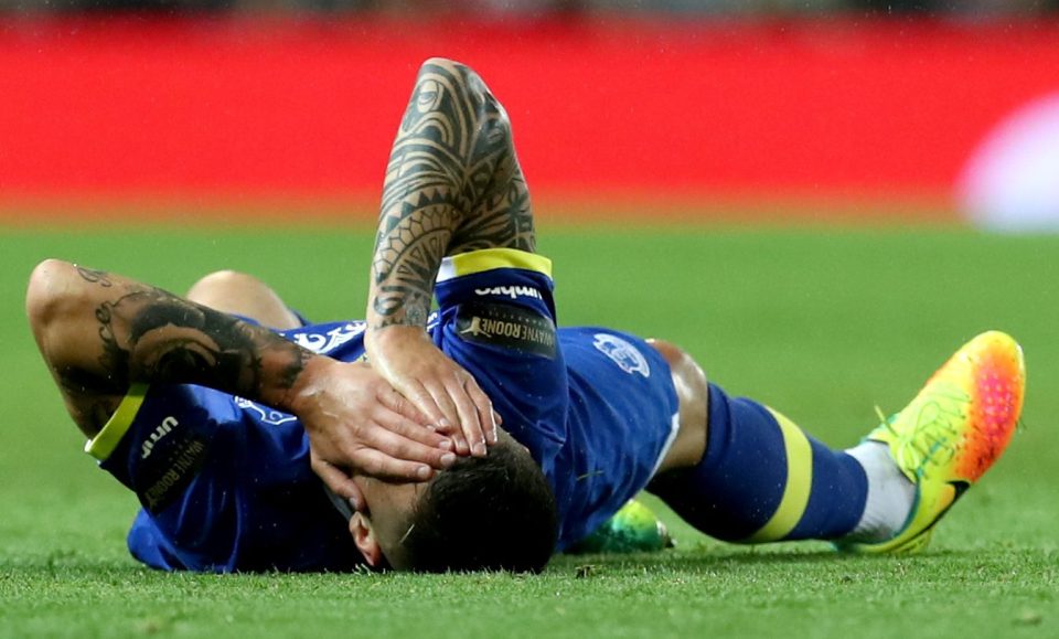 Everton's Muhamed Besic lies injured