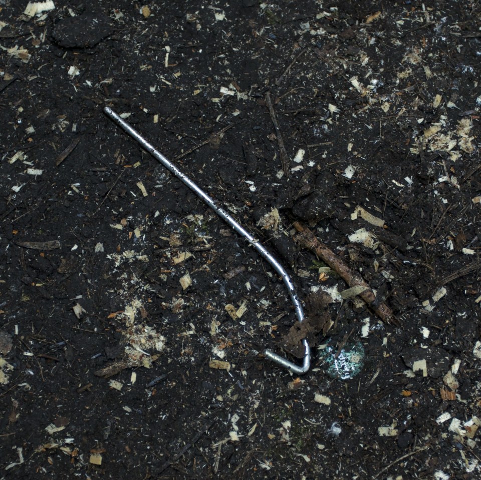 The men has been camping near the banks of the Water of Leith in the Dean Village area of the city