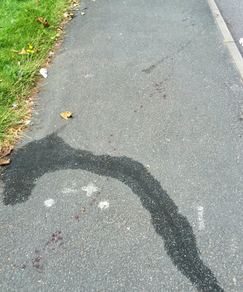  Blood can be seen on the road and pavement where three men were stabbed