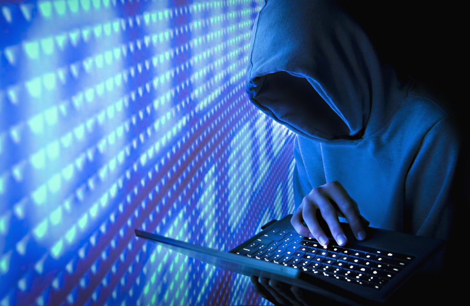  Hackers published the information online