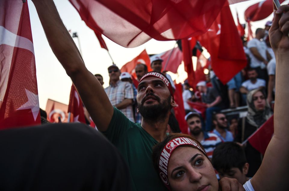 Demonstrators wave Turkish national fla