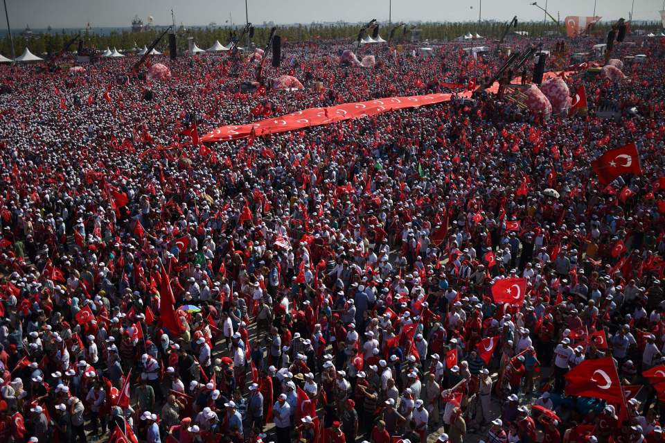 Demonstrators wave Turkish national flag