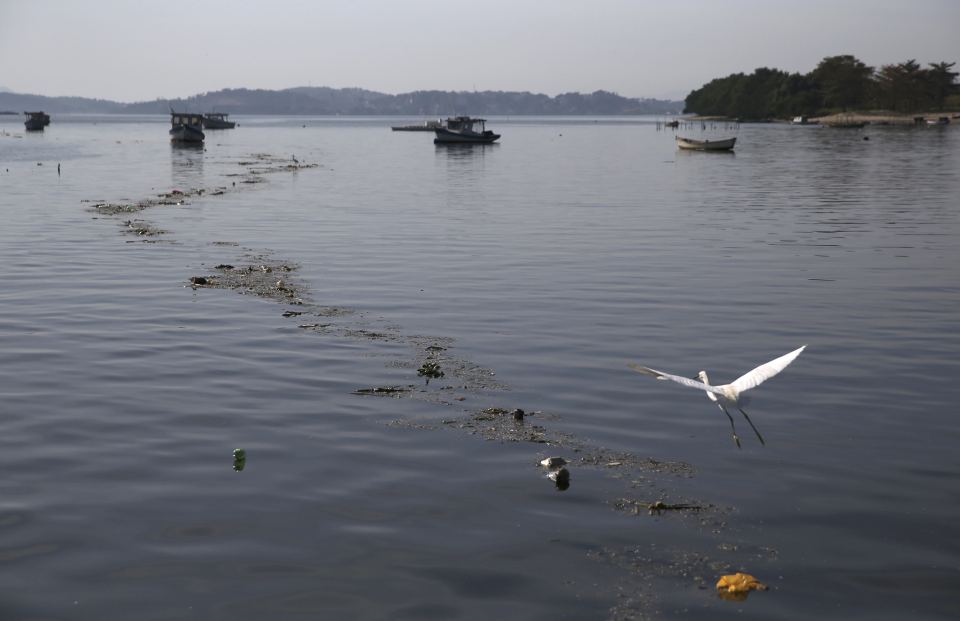 Athletes have aired their fears over the state of Guanabara Bay, which Rio organisers promised would be cleaned up before the games