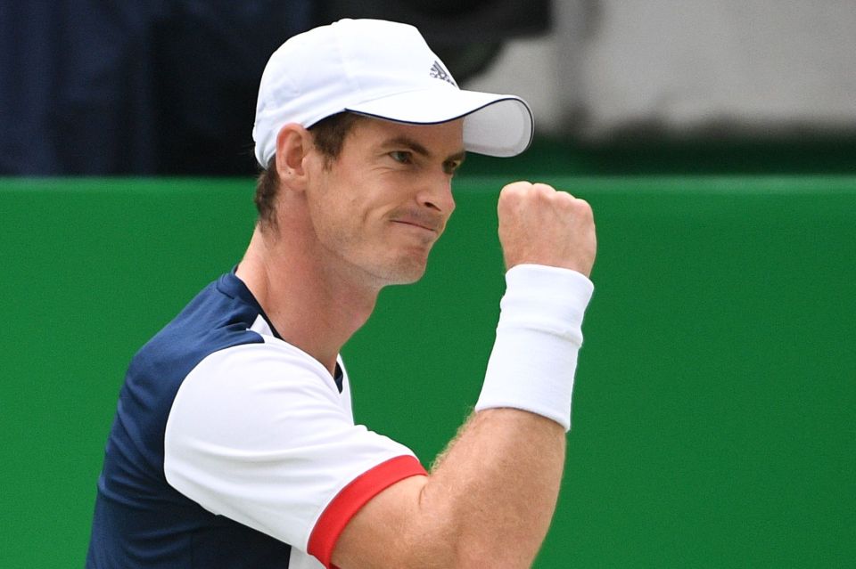 Andy Murray will take on big-serving Argentine Juan Martin Del Potro