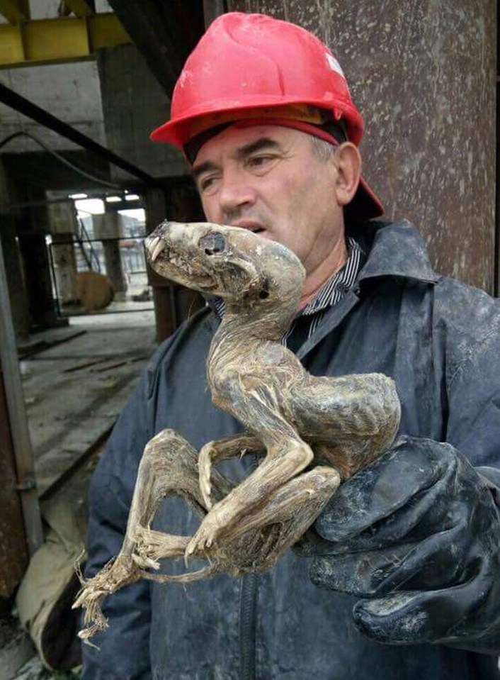 A man holds aloft the terrifying creature unearthed during mining in Russia's freezing and ancient centre