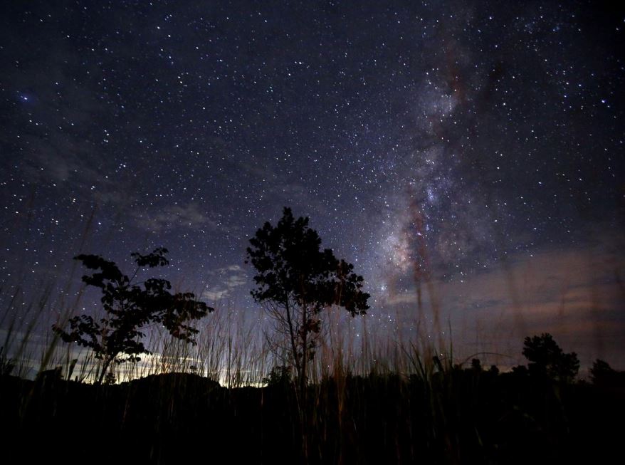  Tabby's star is visible in the Northern hemisphere, beyond the Milky Way constellation