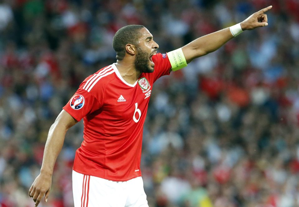  Ex-Swansea centre-back and Wales skipper Ashley Williams is a major signing