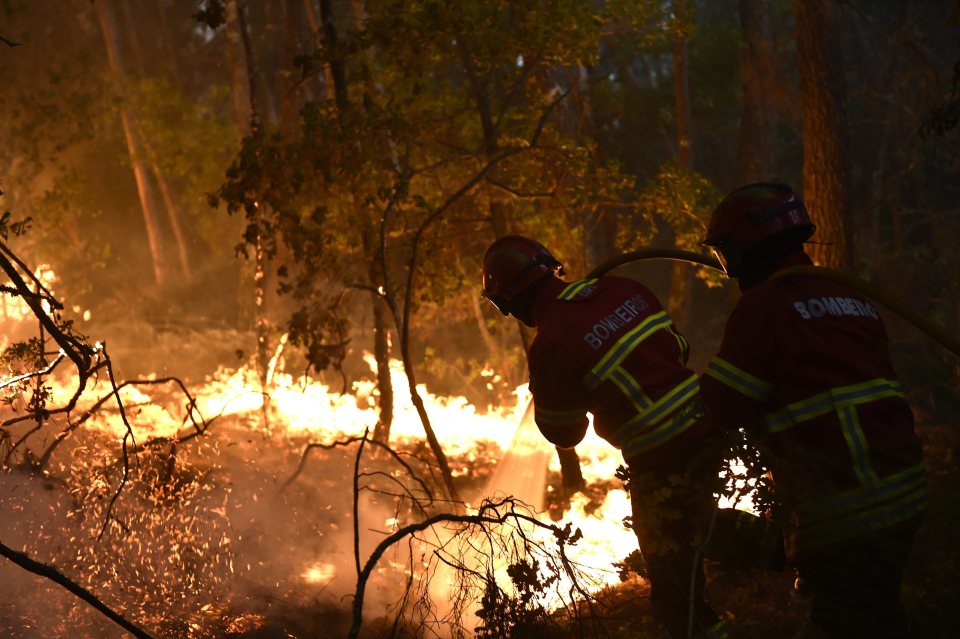  Officials have said some of the fires are believed to have been started deliberately by arsonists