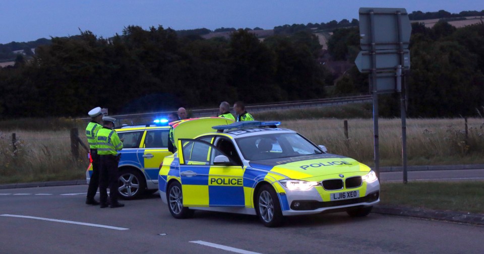  A dozen people were injured and a family-of-four killed in the eight-car pile-up