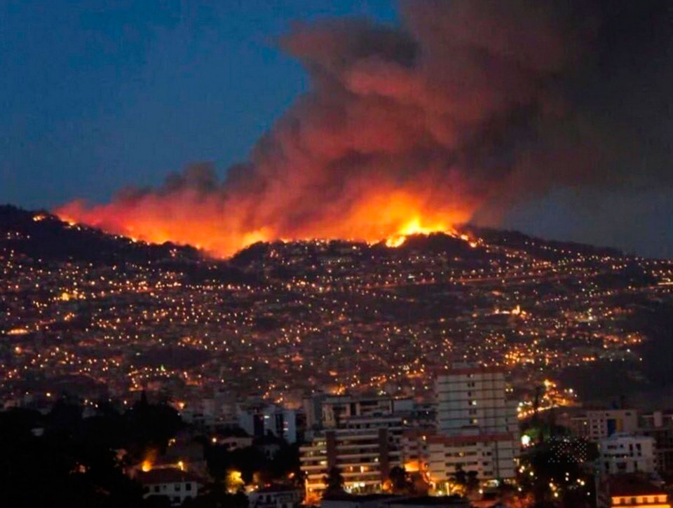  The raging inferno even reached as far as the outskirts of Marseille before being extinguished