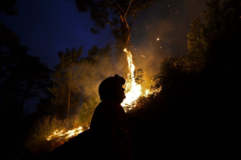  Portugal's emergency services have been stretched almost to breaking point by the wildfires