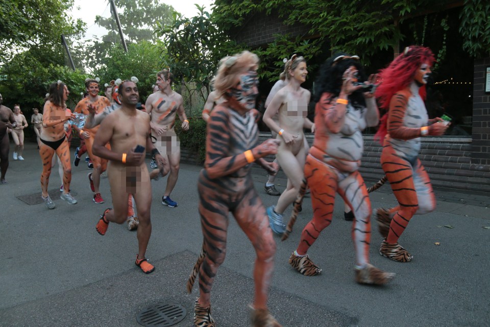 The annual event was held in an effort to fund ZSL's work into protecting tigers