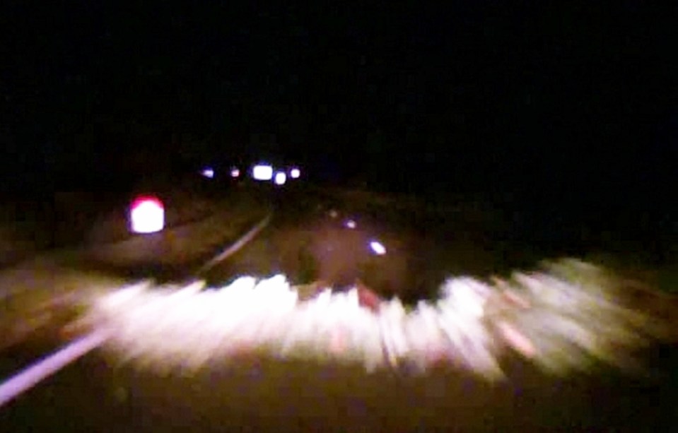 The put a tree in front of the truck in a bid to make his stop - but Glen Shadbolt managed to drive over it