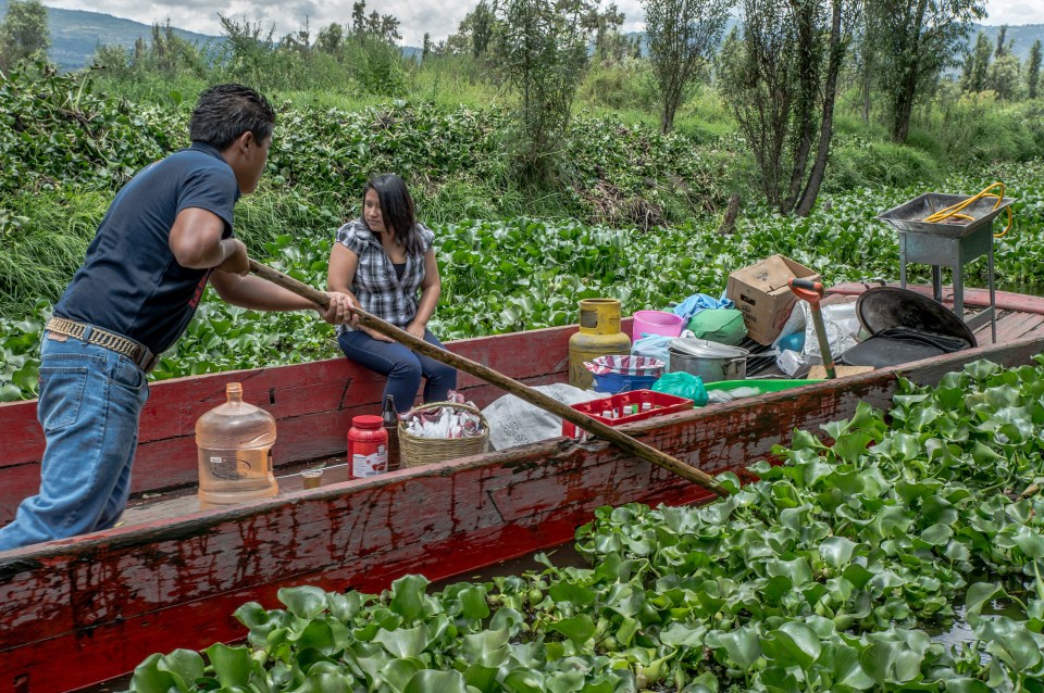 Dedicated visitors are required to make a two-hour journey by boat to visit the park