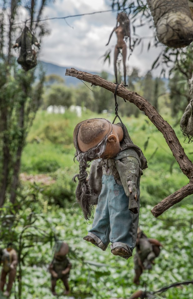 Some of the dolls are hanged from trees in a troubling image from the park