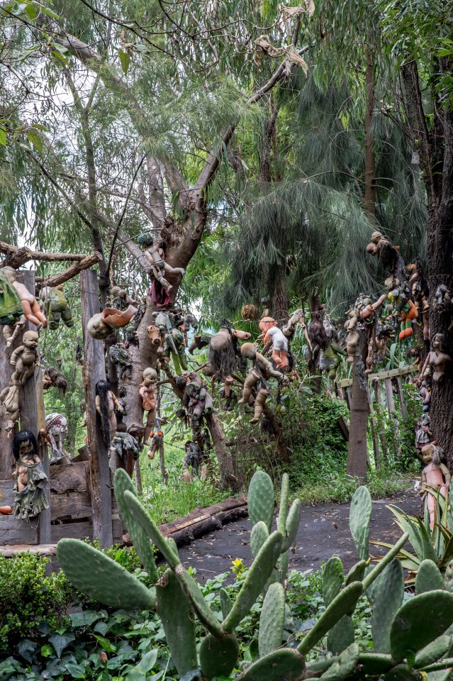 Julian Santana Barrera tried to ward off the evil spirit of a drowned girl by nailed hundreds of dolls to trees near his home