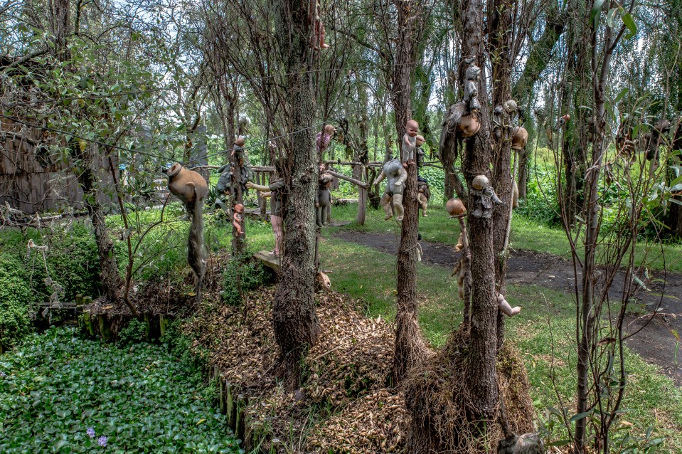 Barrera recalled hearing screaming coming from the deserted woods around his shack