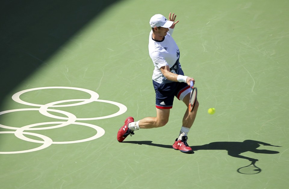 Murray in full flow on the way to his 6-1 6-4 victory in the semi-final