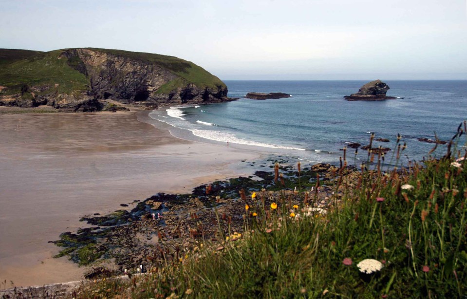  The headless carcass was found on Portreath beach, Cornwall