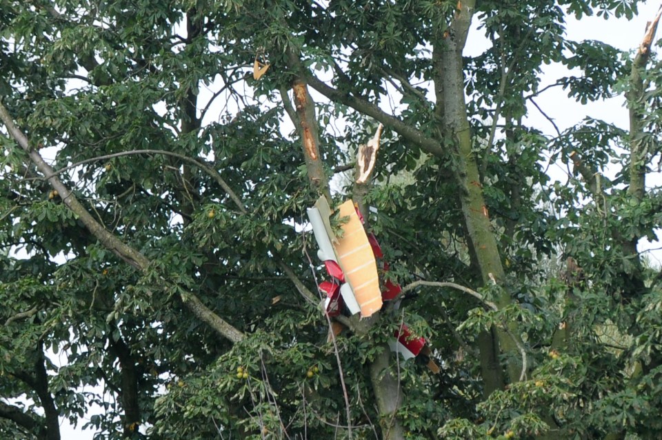  Pieces of the wreckage can be seen in the trees